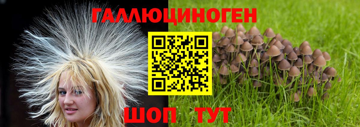 Галлюциногенные грибы прущие грибы  Вход с VPN  Галлюциногенные грибы Cubensis  Астрахань 