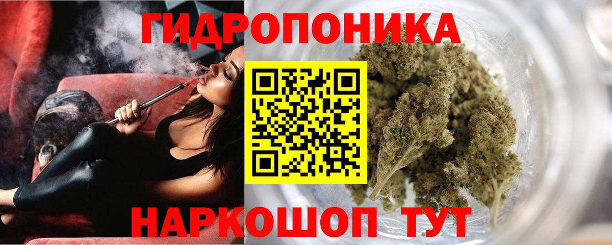 Марихуана сатива  Бошки марихуана Bruce Banner  Вход с VPN  Бошки марихуана Amnesia  Астрахань 